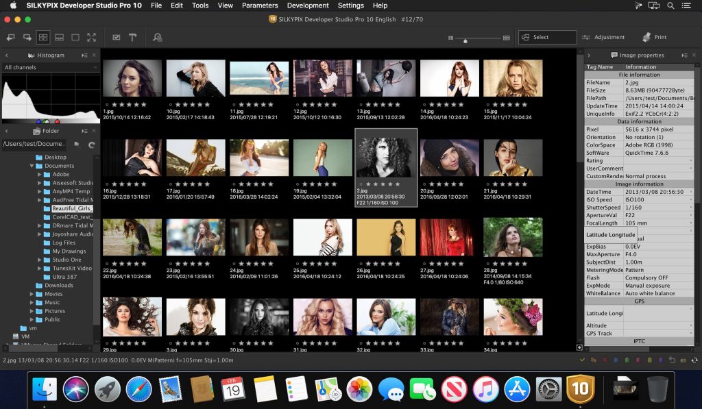 SILKYPIX Developer Studio Pro 11.1.7 Free Download