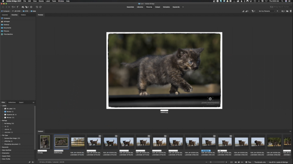 Adobe Bridge 2024 v14.0.4 for Mac Free Download