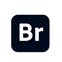 Download Adobe Bridge 2024 for Mac